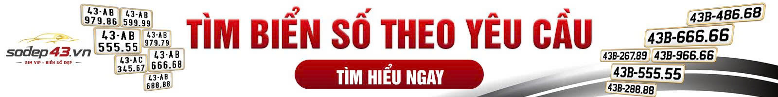 Tìm biển số theo yêu cầu